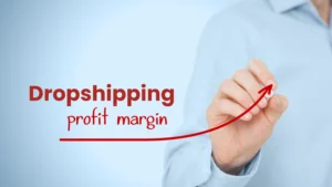 dropshipping profit margin