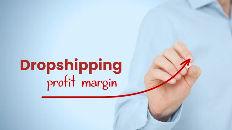 dropshipping profit margin
